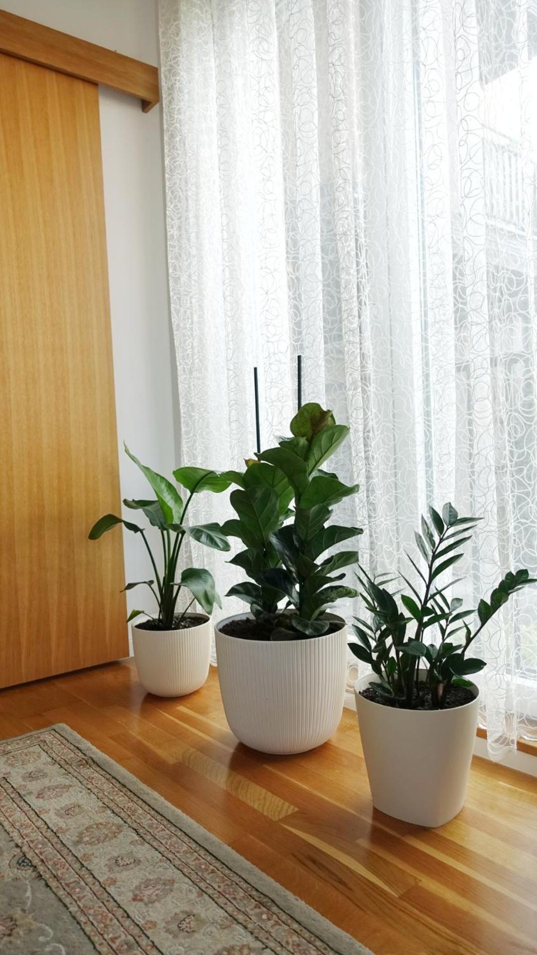 Jc10 Apartment 3 Bedroom, Free Parking, 73Sqm Novi Sad Exteriör bild